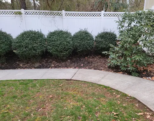 After commercial pressure washing walkway