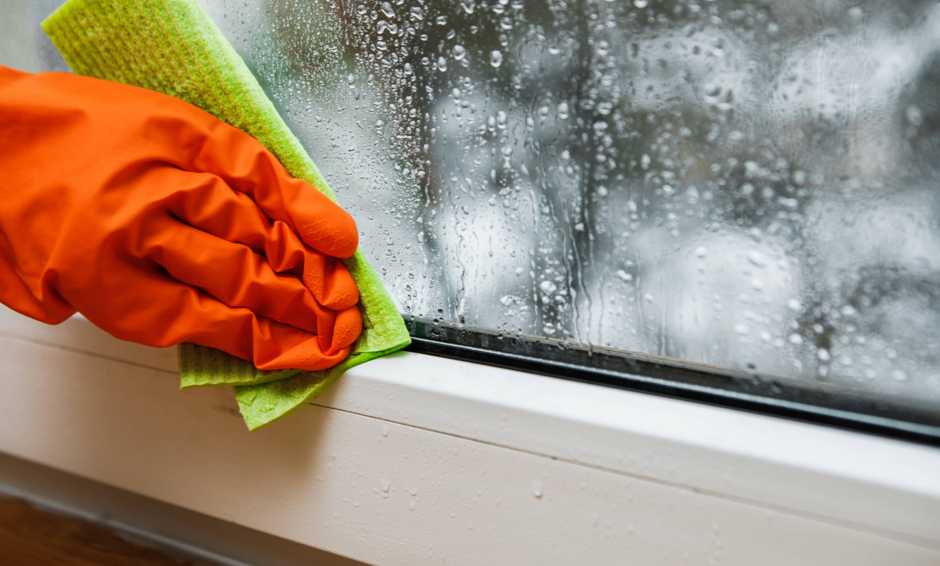 Orange-gloved hand wiping condensation from a window with a green cleaning cloth.