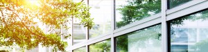 office building windows
