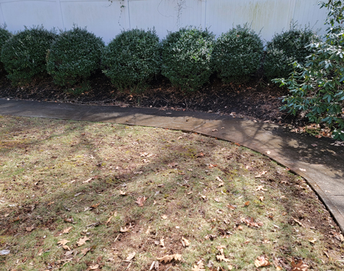 Before commercial pressure washing walkway